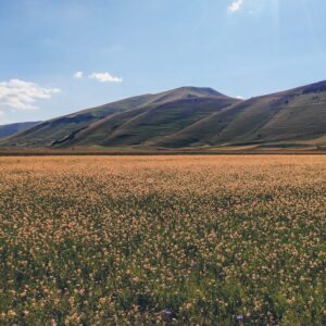 Piani di Castelluccio