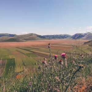 Piani di Castelluccio