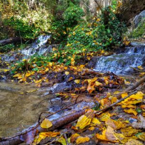 Cascate del Menotre